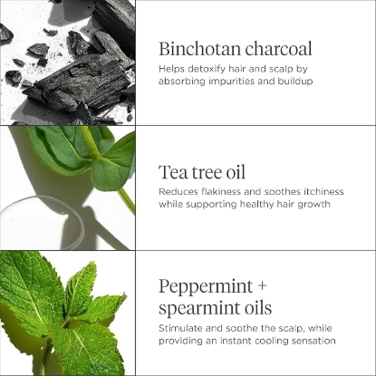 Picture of Briogeo Scalp Revival Charcoal + Tea Tree Scalp Treatment 30ml