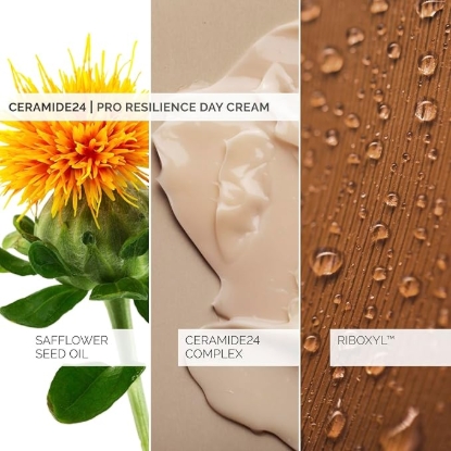 Picture of skinSense Ceramide24 Pro Resilience Day Cream 50ml